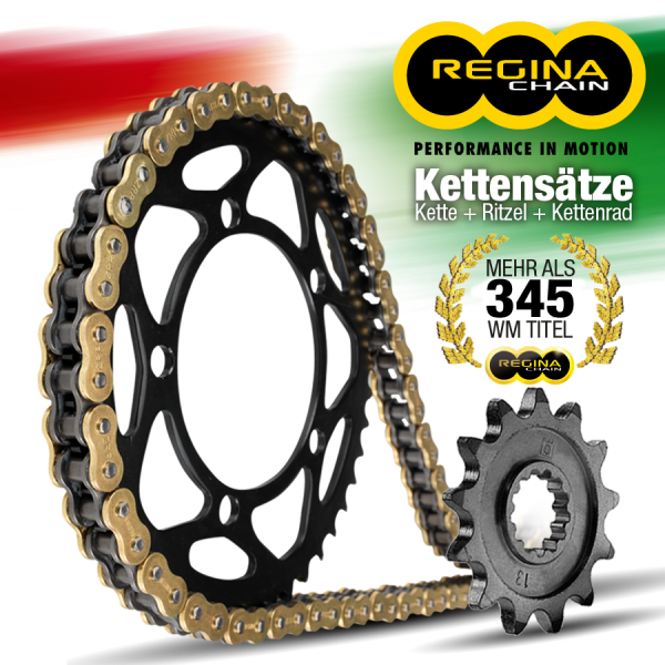Regina Kit NSR 125 (80 Km/h)JC22,96- O-Ring