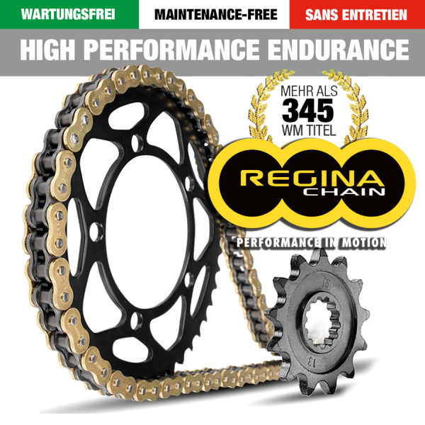 Regina Kit Ducati 944 ST 4 Bj. 99-03