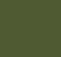 Army-Gr&uuml;n